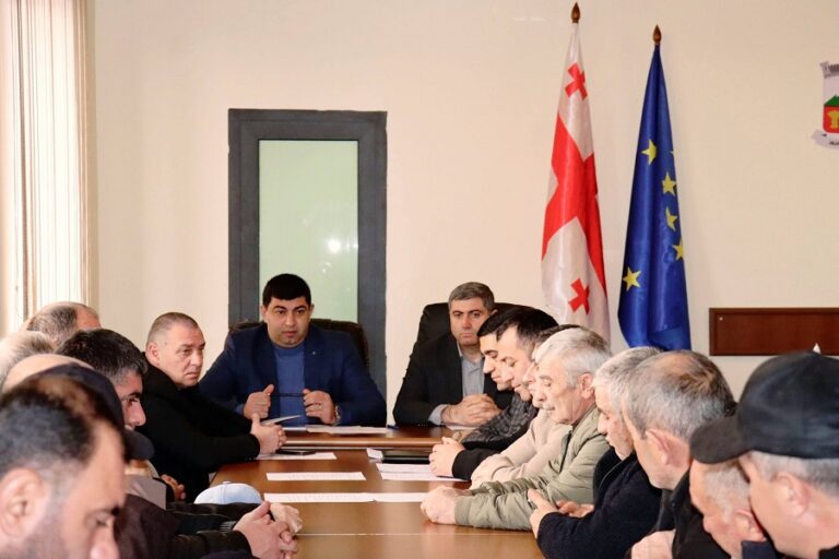 ახალქალაქის მუნიციპალიტეტის მერი მელქონ მაკარიანი ადმინისტრაციულ ერთეულებში არსებულ მდგომარეობას გაეცნო