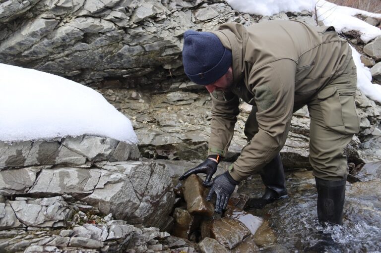დუშეთის მუნიციპალიტეტის მდინარეების შენაკადები „წითელი ნუსხის“ სახეობა ნაკადულის კალმახის განაყოფიერებული 18 000 ქვირითით დათევზიანდა
