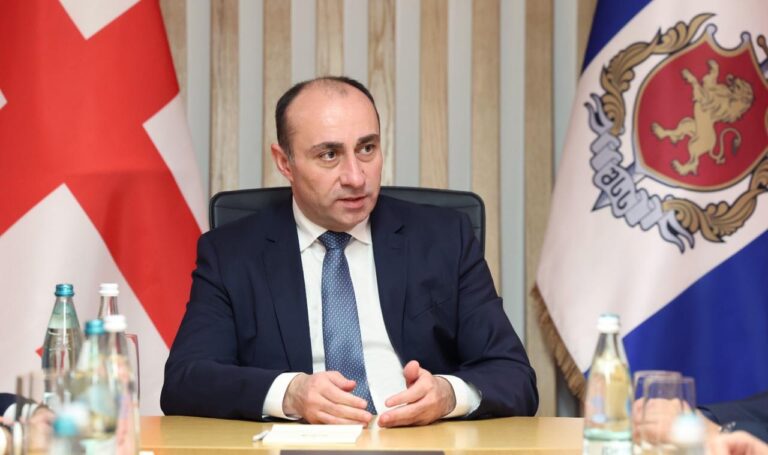 შს მინისტრი: ბოლო ერთი წლის განმავლობაში 1300-ზე მეტი არალეგალია გაძევებული ქვეყნიდან