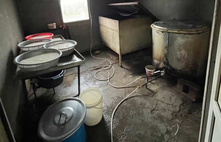 ქვემო ქართლში ყველის არალეგალურ საწარმოებში კრიტიკული შეუსაბამობები გამოვლინდა