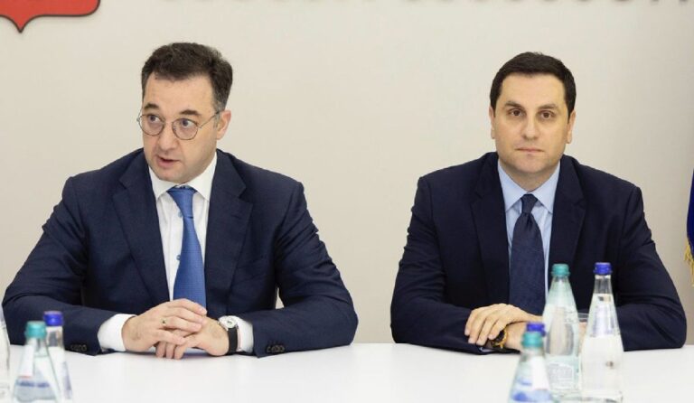 ეროვნული სატყეო სააგენტოს ახალი უფროსი ბესიკ ამირანაშვილი უწყების თანამშრომლებს წარუდგინეს