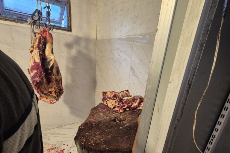 აჭარასა და ქვემო ქართლში ცხოველთა არალეგალური სასაკლაოები გამოავლინეს