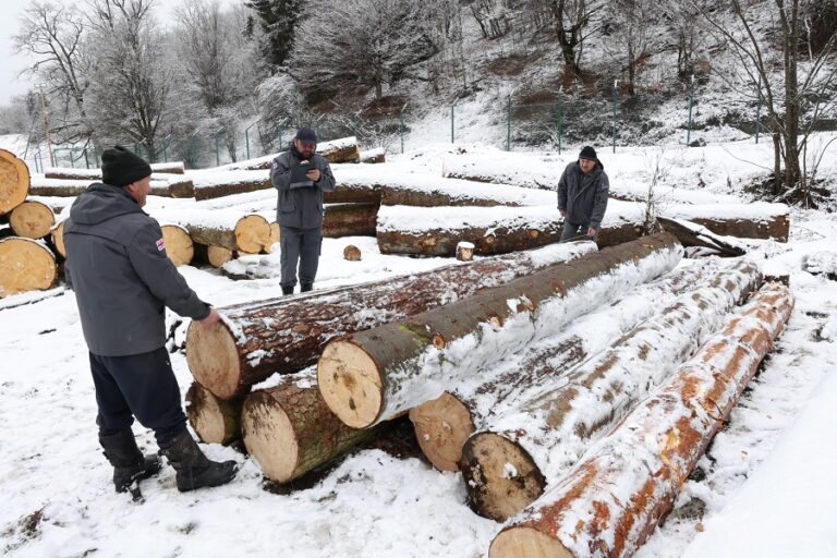 ბაკურიანი-წაღვერის სატყეო უბანზე დიდი ოდენობით ხე-ტყის უკანონო მოპოვებისა და ტრანსპორტირების ფაქტი გამოვლინდა