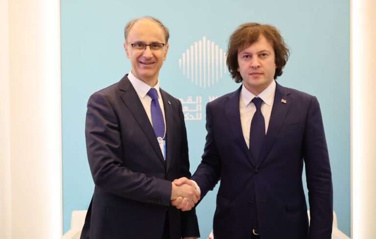 ირაკლი კობახიძე სერბეთის რესპუბლიკის პრემიერ-მინისტრ დურო მაცუტს შეხვდა