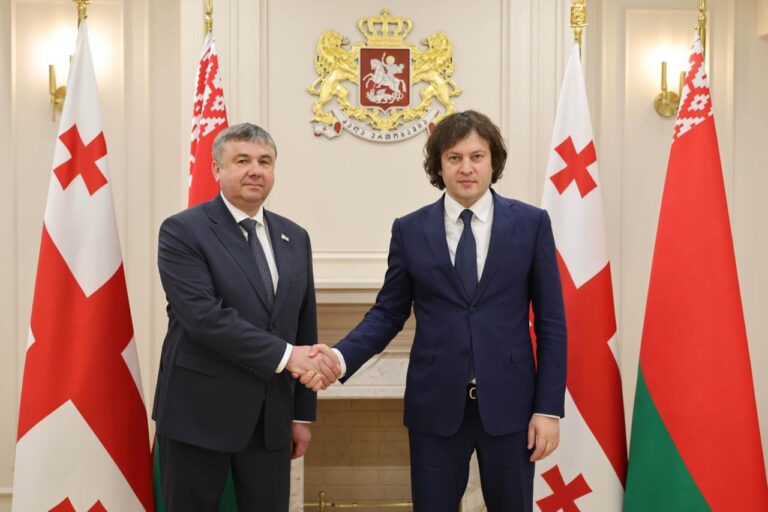 ირაკლი კობახიძე ბელარუსის ვიცე-პრემიერს, იური შულეიკოს შეხვდა