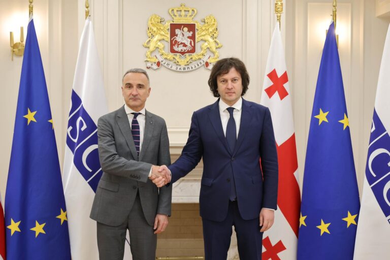 ირაკლი კობახიძე ეუთო-ს საპარლამენტო ასამბლეის პრეზიდენტს შეხვდა