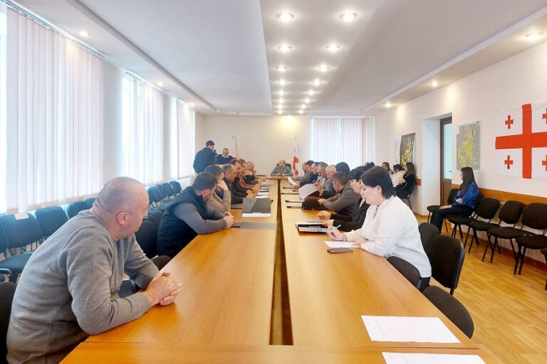 ნინოწმინდის მუნიციპალიტეტის საკრებულოს სხდომაზე ერთი საკითხი დამტკიცდა