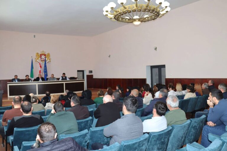 სამცხე-ჯავახეთის სახელმწიფო რწმუნებულმა ახალქალაქში შეხვედრა გამართა