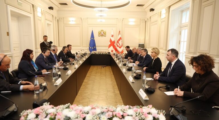 მიხეილ ყაველაშვილი მართლმადიდებლობის საპარლამენტთაშორისო ასამბლეის დელეგაციას შეხვდა