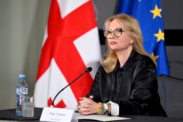 ნათია თურნავა: მისასალმებელია, რომ სსფ-ის მისიამ ჩვენს მონეტარულ პოლიტიკას დადებითი შეფასება მისცა და ხაზი გაუსვა მის გონივრულობას