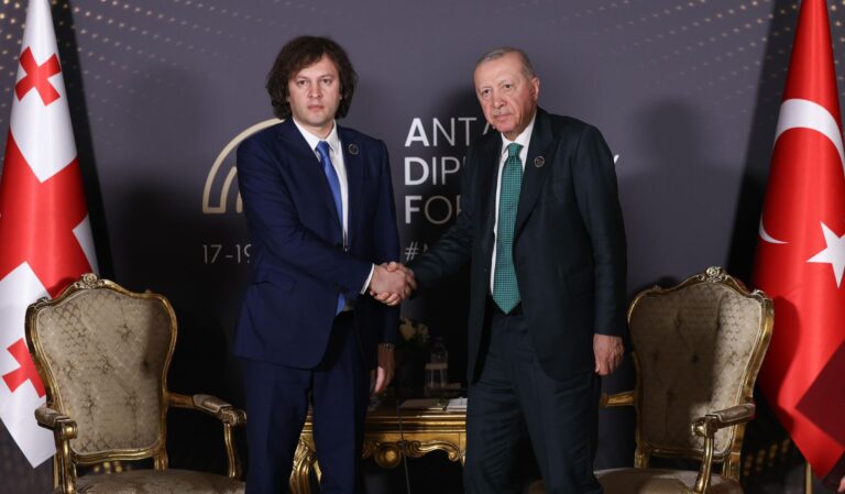 ირაკლი კობახიძე თურქეთის პრეზიდენტ რეჯეფ თაიფ ერდოღანს შეხვდა