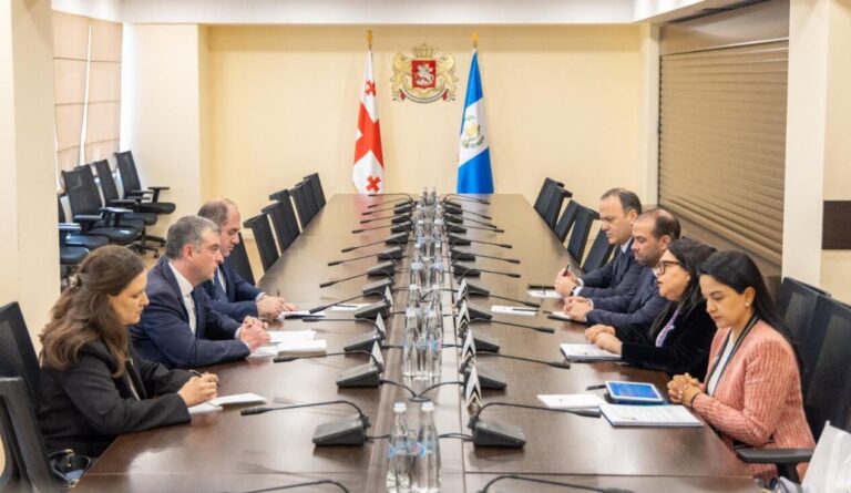 პაატა პატიაშვილმა გვატემალის საგარეო საქმეთა მინისტრის მოადგილეს უმასპინძლა