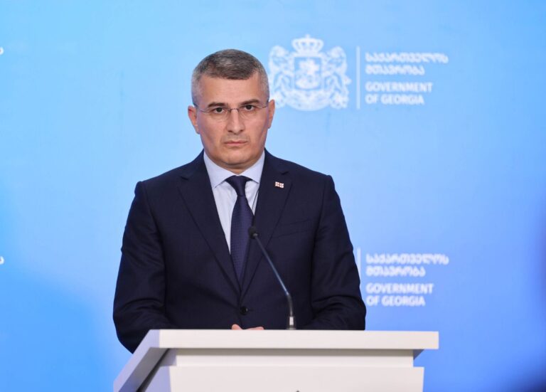 მამუკა მდინარაძე 26 მაისის ოპოზიციის აქციაზე: შემიძლია მთელი პასუხისმგებლობით გითხრათ, რომ ისინი ვერაფერს იზამენ