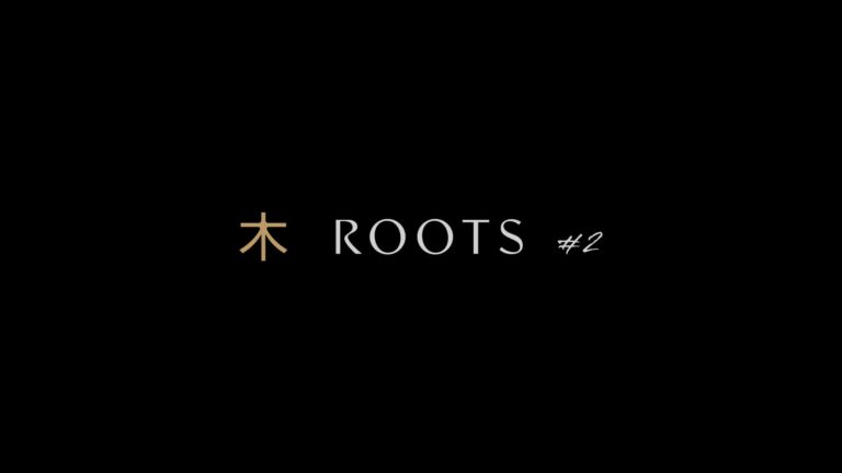 ROOTS 1 წლის გახდა – ბრენდი  ახალ ფილიალს მთაწმინდაზე ხსნის