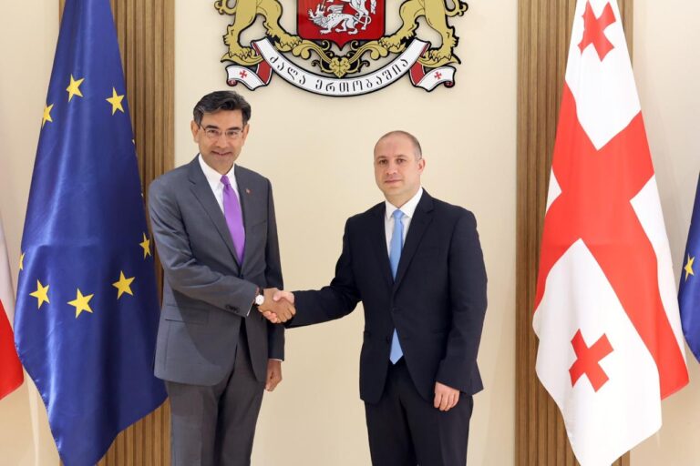 გივი მიქანაძემ თურქეთის რესპუბლიკის საგანგებო და სრულუფლებიან ელჩს უმასპინძლა