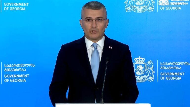 მამუკა მდინარაძე: დემოკრატიული სახელმწიფოსთვის აუცილებელია აზრთა სხვადასხვაობა და კრიტიკული დისკუსია, პარალელურად არსებობს მინიმალური სტანდარტები, რომლებზეც საზოგადოება უნდა თანხმდებოდეს
