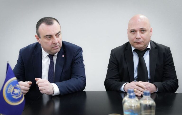 ფინანსთა სამინისტროს საგამოძიებო სამსახურის უფროსის მოადგილედ გიგა ნამიჭეიშვილი დაინიშნა