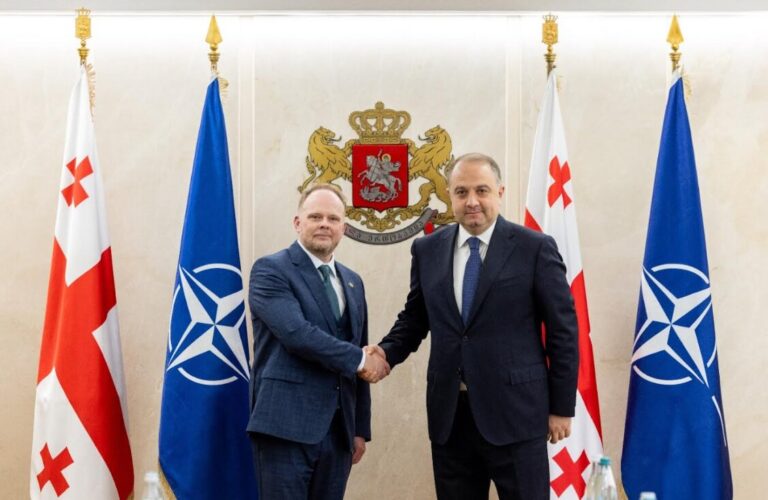 თავდაცვის მინისტრმა ნატოს გენერალური მდივნის სპეციალურ წარმომადგენელთან შეხვედრა გამართა
