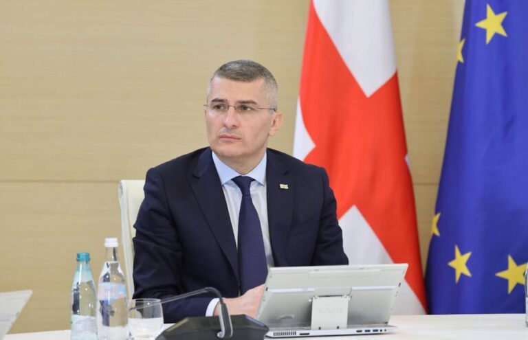 მამუკა მდინარაძე: ვიდრე ერთი მხრიდან იქნება საუბარი სინდისის პატიმარზე და მეორე მხრიდან დამნაშავეზე, აქ საზოგადოებრივი თანხმობა და ერთობა ვერ შედგება