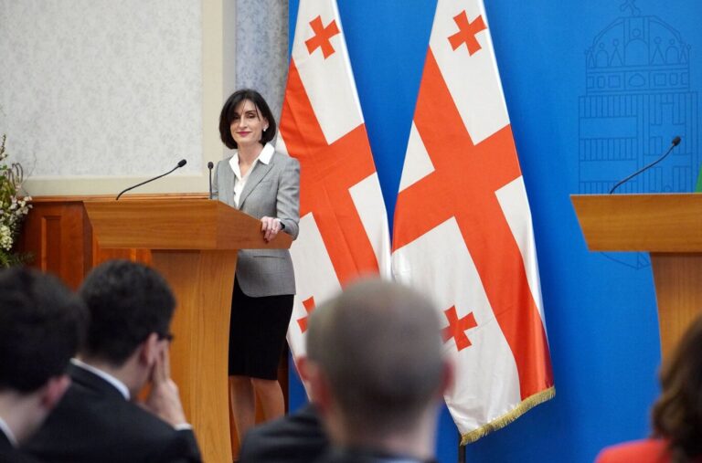 ქართული საგარეო უწყება: ევროპარლამენტის ანგარიში საქართველოს საზოგადოებაში პოლარიზაციისა და რადიკალური განწყობების წახალისების მორიგ მცდელობას წარმოადგენს
