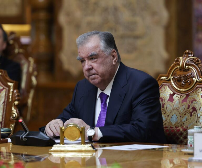 ტაჯიკეთის რესპუბლიკის პრეზიდენტი: საქართველოს პრემიერ-მინისტრთან დეტალურად განვიხილეთ პერსპექტივები ორმხრივი ურთიერთობებისთვის