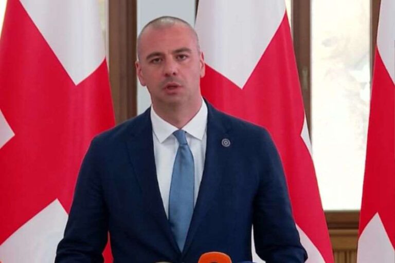 ლევან მაჭავარიანი: ნანუკა ჟორჟოლიანი კარგ ლობიანებს აცხობდა, თუმცა ეს არ ნიშნავს, რომ პარტიის კარგი თავმჯდომარე იქნები