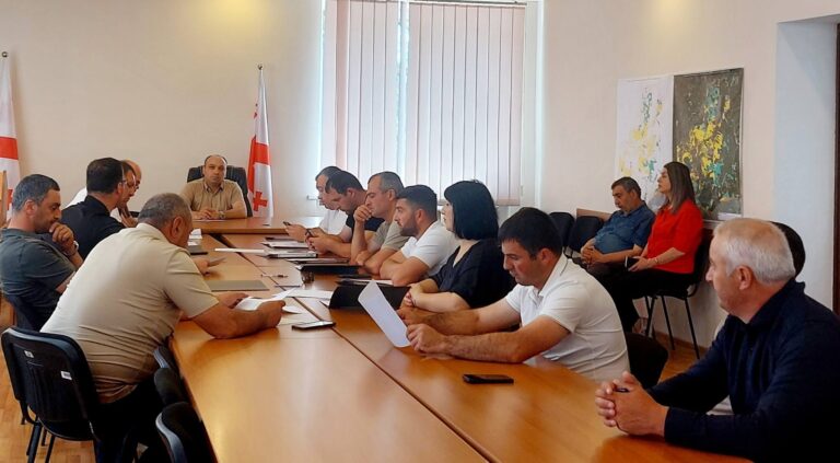 ნინოწმინდის მუნიციპალიტეტის საკრებულოს კომისიების ერთობლივი სხდომა გაიმართა