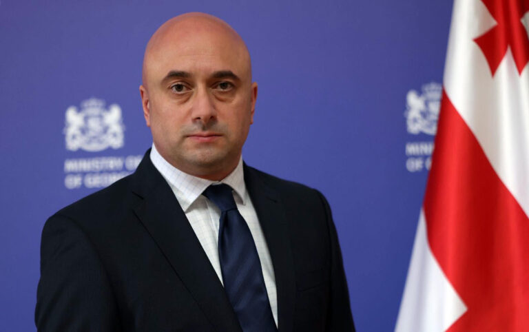 საქართველოს კულტურის მინისტრის მოვალეობას მიხეილ კიკნაძე შეასრულებს